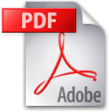 Icon of pdf file